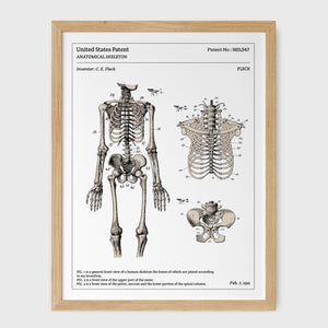 Affiche de brevet - Squelette anatomique